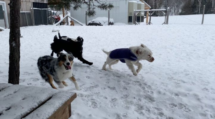 01add6acb92865dc2a7661c0335f49acb0b94a50cd