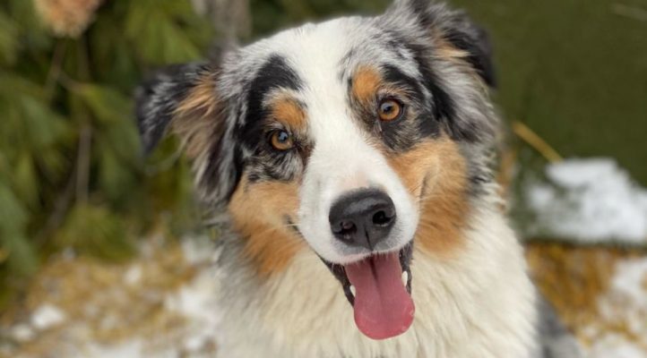 01b1ba15b8917dfd068622a26bd710069a78df9b0f