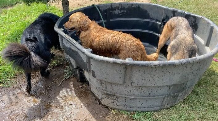 01c7de7e74f389a0f2d9b2cb0e5179403bd89326ee